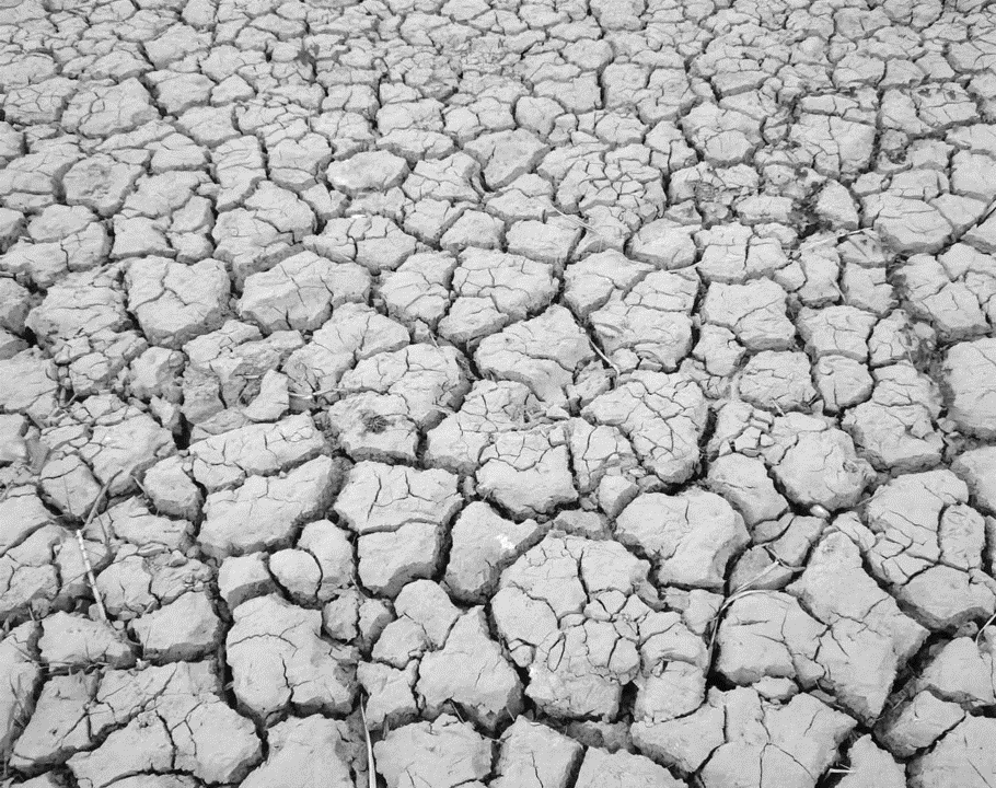 Mud crack pattern